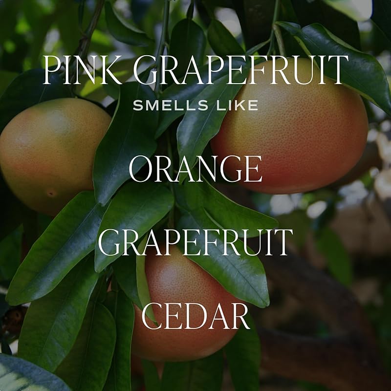 Sweet Water Decor Pink Grapefruit Reed Diffuser – Room Decor Aesthetic - Image 2