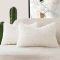 Foindtower Set of 2 Curly Teddy Wool Faux Fur Pillow Covers Decorative Boucle by Foindtower