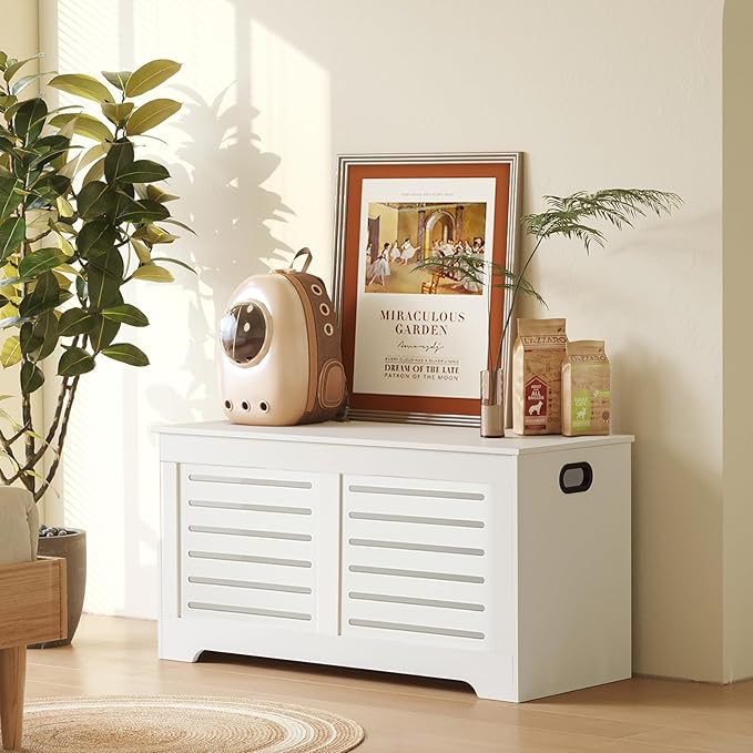 DINZI LVJ Storage Chest, Flip-top Wooden Toy Box Organizer - Image 8