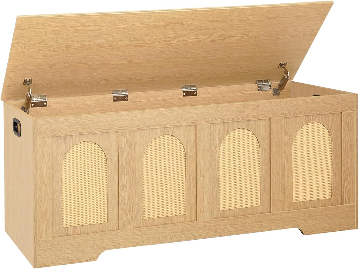 DINZI LVJ Storage Chest, 47.2" Rattan-Like Toy Box by DINZILVJ