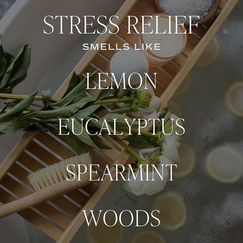 Sweet Water Decor Citrus Calm Reed Diffuser – Room Decor Aesthetic - Image 2