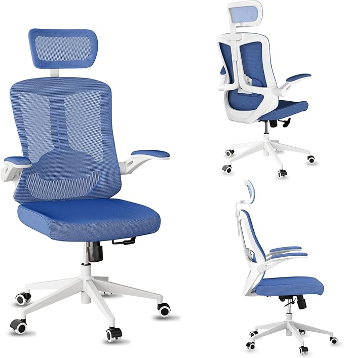 Home Office Chair, Ergonomic Big and Tall Office Desk Chair by Balmstar