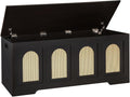 DINZI LVJ Storage Chest, 47.2" Rattan-Like Toy Box by DINZILVJ