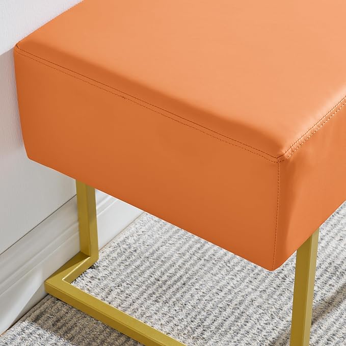 Modern Style Bedroom Single Seat Bench, Cushioned Bed end Stool, Living Room - Image 5