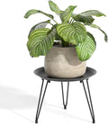 SUEH DESIGN Plant Stand Indoor, Metal Plant Stand Round Plant Table Heavy Duty by SUEHDESIGN