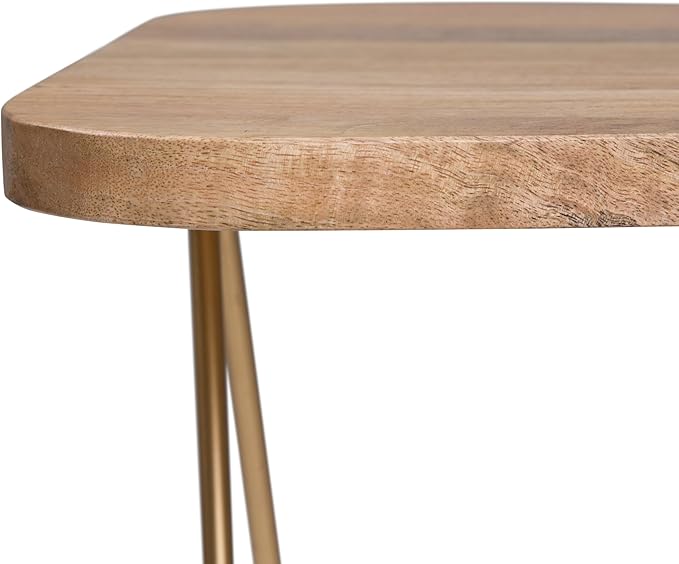 SIMPLIHOME Patrice Modern 18 inch Wide Metal and Wood Accent Side Table in - Image 8