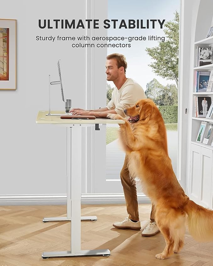 ErGear Height Adjustable Electric Standing Desk, 71 x 30 Inches Sit Stand up - Image 6