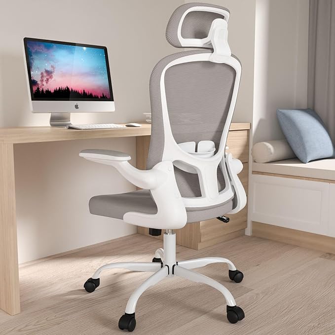 Office Chair, High Back Ergonomic Desk Chair, Breathable Mesh Desk Chair by Silybon