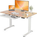 YDN Standing Desk with Drawers, Height Adjustable Desk 48 x 24 Inch, Electric by YDN