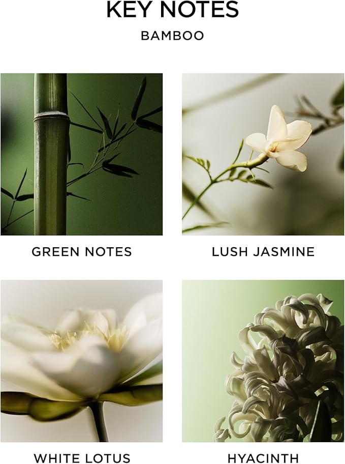 NEST New York Reed Diffuser, Bamboo - Image 4