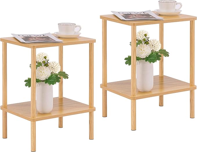 Apicizon 2 Tier End Table Set of 2, Small Side Table by APICIZON