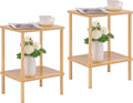 Apicizon 2 Tier End Table Set of 2, Small Side Table by APICIZON
