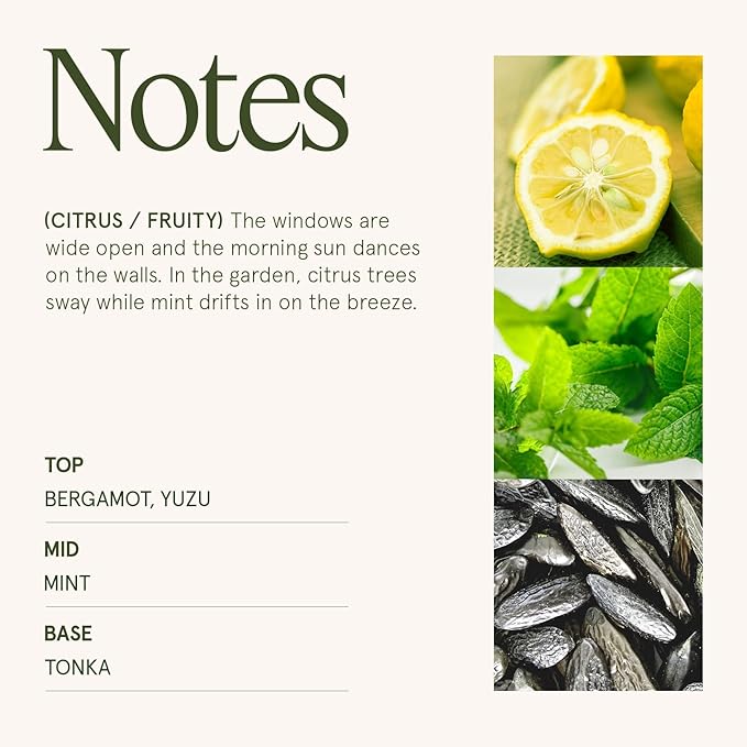 LA JOLIE MUSE Citrus Mint Candle, Summer Candles - Image 4