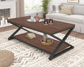 HSH Walnut 2 Tier Storage Coffee Table, Modern Rectangle Center Table by HOMESWEETHOME