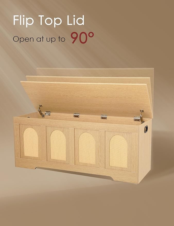 DINZI LVJ Storage Chest, 47.2" Rattan-Like Toy Box - Image 5