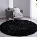 FJZFING Black Round Rug Ultra-Soft Plush Modern 5x5 Circle Area Rug by FJZFING