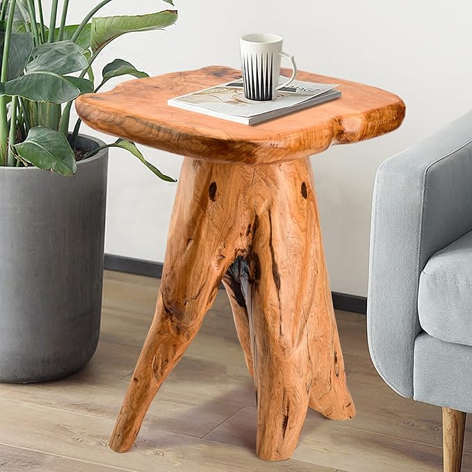Mushroom Side Table, 18.9 inch Tall Live Edge Wood Stool, Freeform Natural by HOEGMST