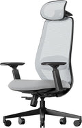 ProtoArc Ergonomic Office Chair – EC200 High-Back Mesh Computer Chair by ProtoArc