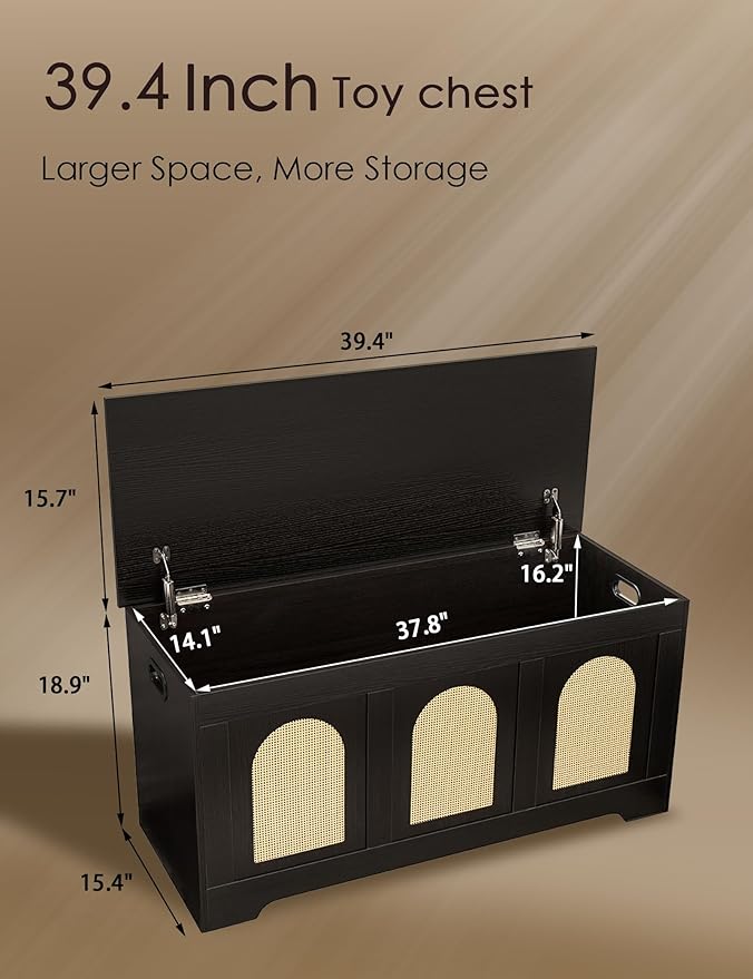 DINZI LVJ Storage Chest, 39.4" Rattan-Like Storage Box - Image 3