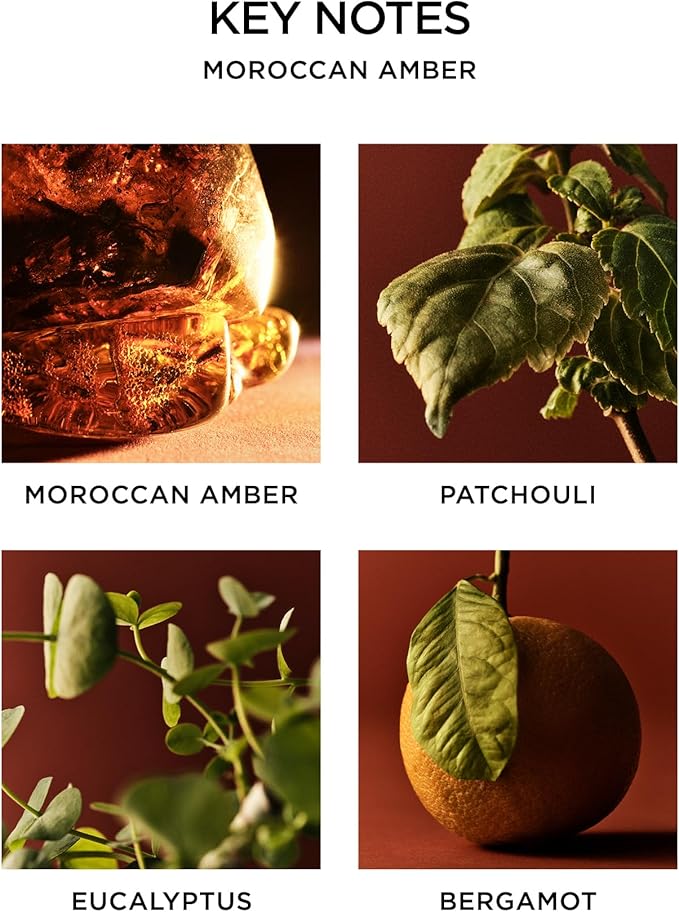 NEST New York Reed Diffuser, Moroccan Amber - Image 4