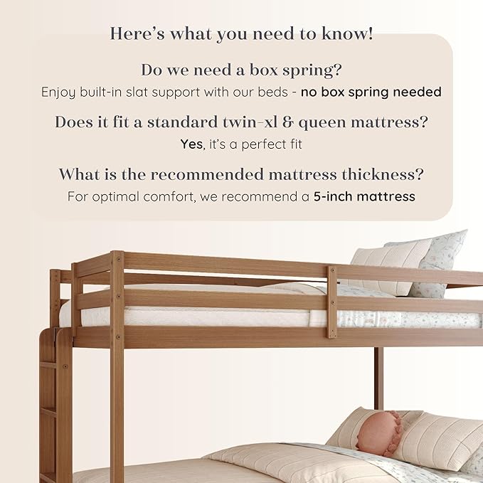 Grain & Grove Bear Twin XL Over Queen Bunk Bed, Sturdy Bunk Bed Frame - Image 5
