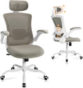 Ergonomic Office Chair with Adjustable Lumbar Support & Headrest, High Back by COLAMYINC