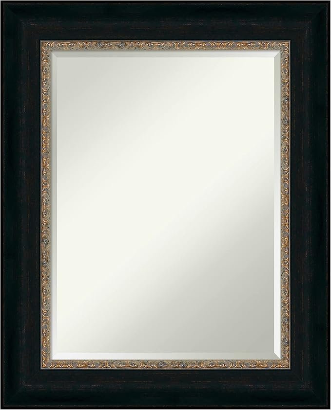 Amanti Art Bronze Bathroom Mirror by AmantiArt