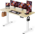 ErGear Height Adjustable Electric Standing Desk, 55 x 28 Inches Sit Stand up by ErGear