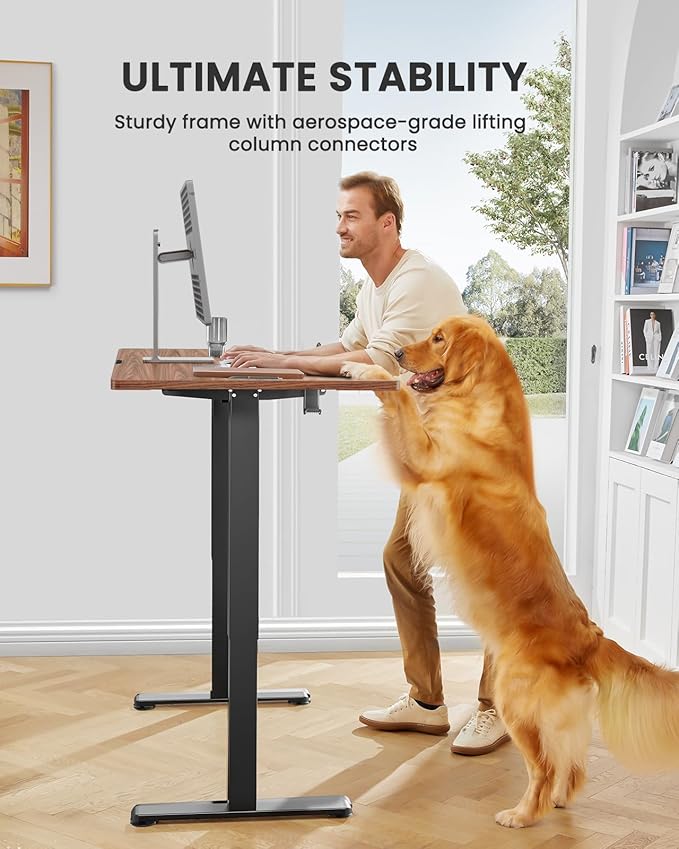 ErGear Height Adjustable Electric Standing Desk, 48 x 24 Inches Sit Stand up - Image 4