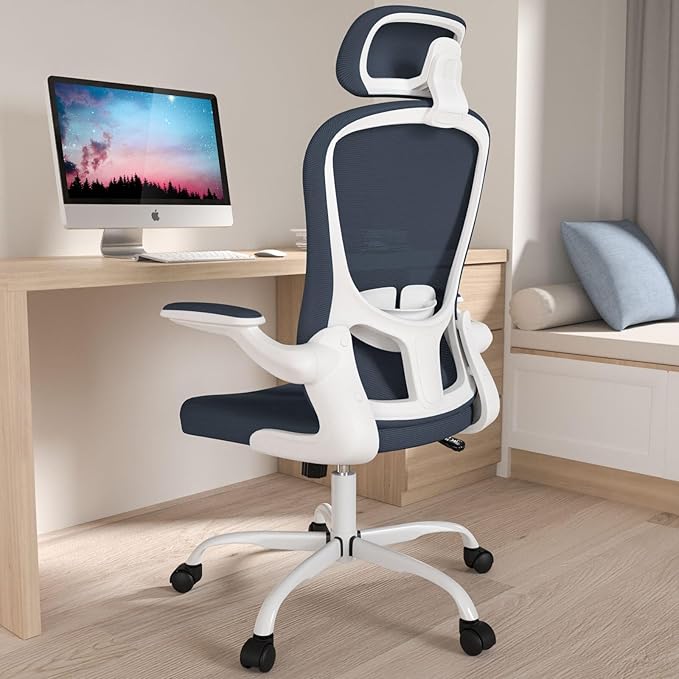 Office Chair, High Back Ergonomic Desk Chair, Breathable Mesh Desk Chair by Silybon