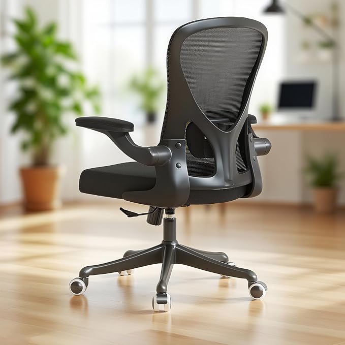 Ergonomic Office Chair with Adjustable Lumbar Support & Flip-Up Armrests by SICHYAGE