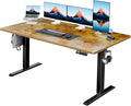HUANUO 55" x 28" Electric Standing Desk Adjustable Height, 4 Memory Height by HUANUO