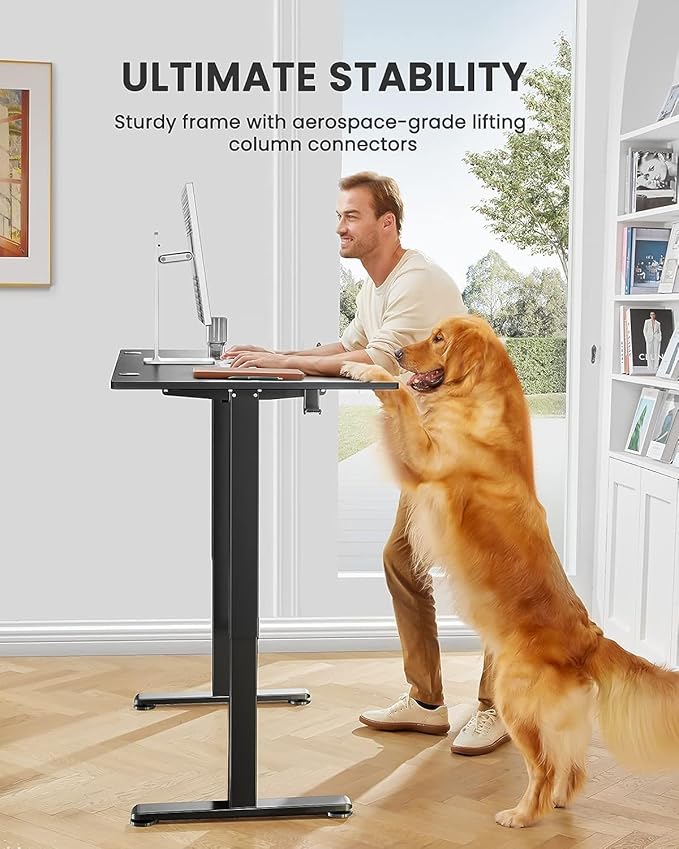 ErGear Height Adjustable Electric Standing Desk, 55 x 28 Inches Sit Stand up - Image 3