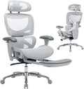 COLAMY Ergonomic Mesh Office Chair by COLAMYINC