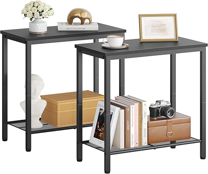 Hoctieon 2 Tier End Table, Sofa Side Table, Narrow Side Shelf by Hoctieon