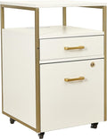 Modern 2-Drawer Rolling File Cabinet by TechniMobili