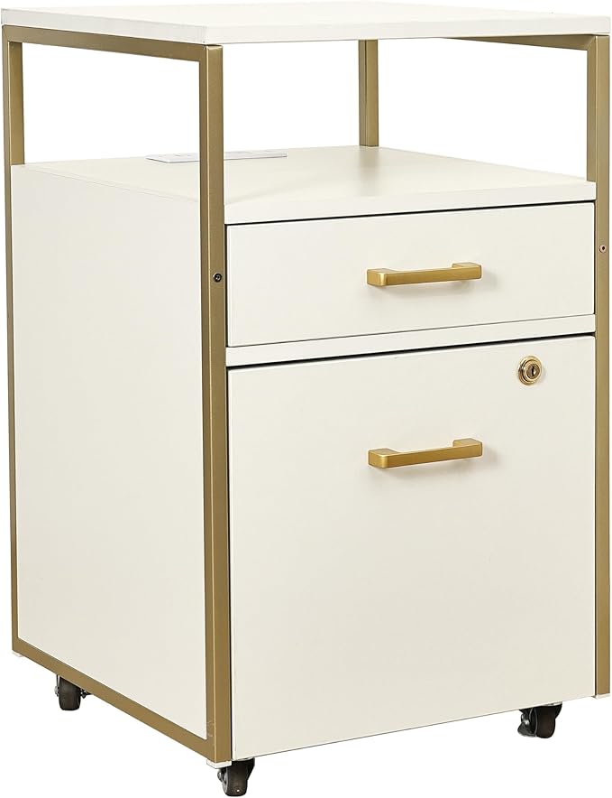 Modern 2-Drawer Rolling File Cabinet by TechniMobili