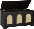 DINZI LVJ Storage Chest, 39.4" Rattan-Like Storage Box by DINZILVJ
