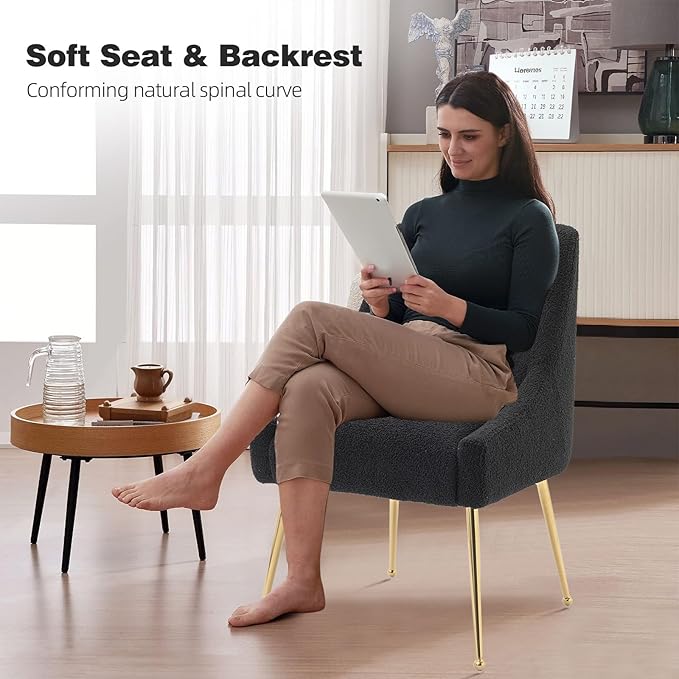 Dining Chairs Medieval Modern Restaurant Chairs, Soft Cushions, Teddy Velvet - Image 4