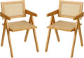 Rattan Dining Chairs Set of 2, Modern Mid Century Accent Chairs, Comfy Armchairs by Furlide