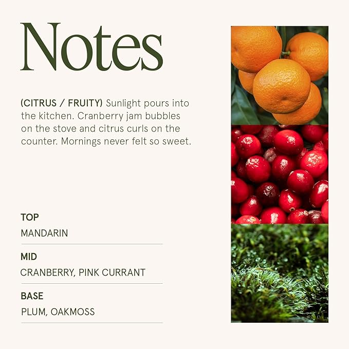 LA JOLIE MUSE Ruby Berry Bliss Scented Candle – Mandarin, Cranberry & Plum| - Image 4