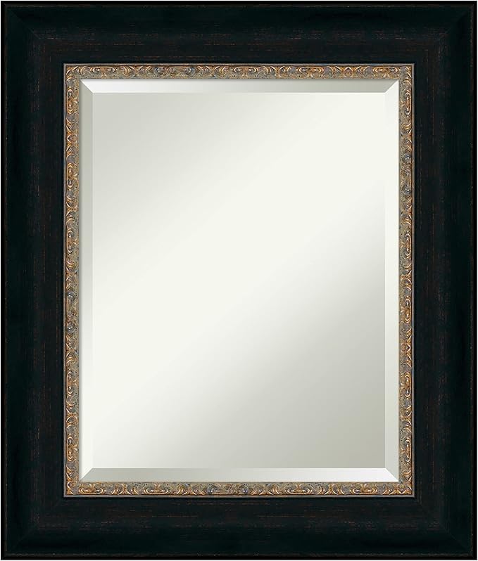 Amanti Art Bronze Bathroom Mirror by AmantiArt