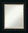 Amanti Art Bronze Bathroom Mirror by AmantiArt