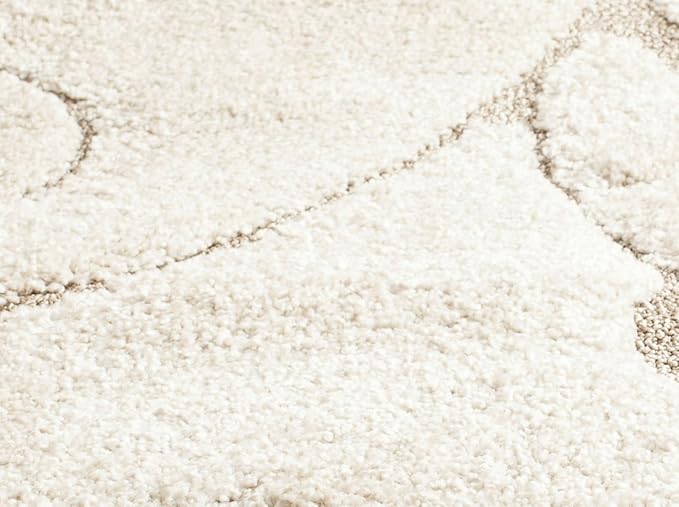 SAFAVIEH Florida Shag Collection Accent Rug - Image 8