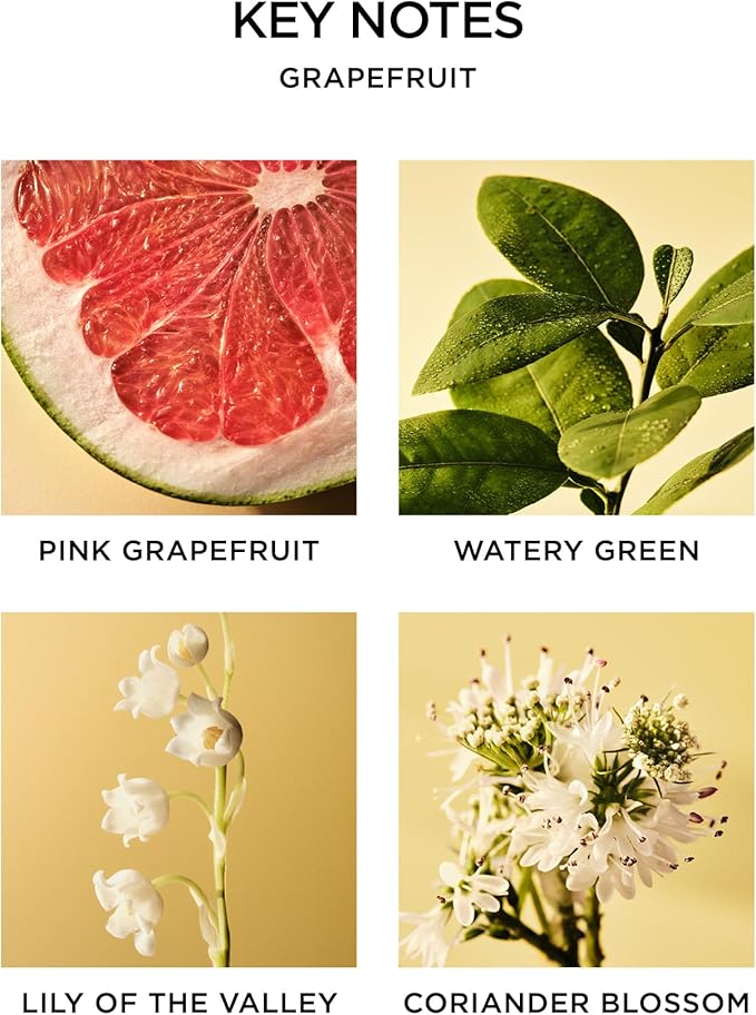 NEST New York Reed Diffuser, Grapefruit - Image 4