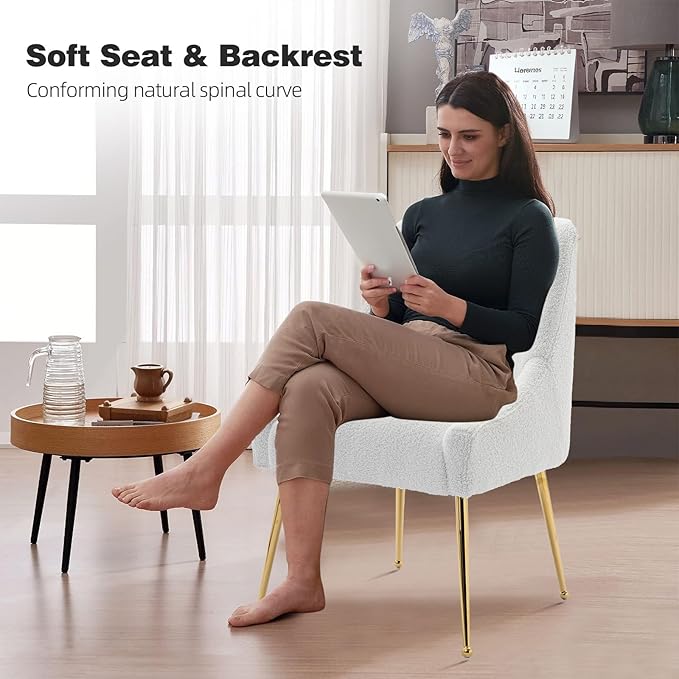 Dining Chairs Medieval Modern Restaurant Chairs, Soft Cushions, Teddy Velvet - Image 4