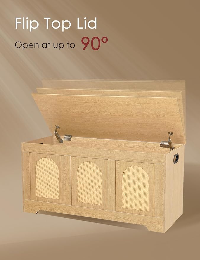 DINZI LVJ Storage Chest, 39.4" Rattan-Like Box - Image 4