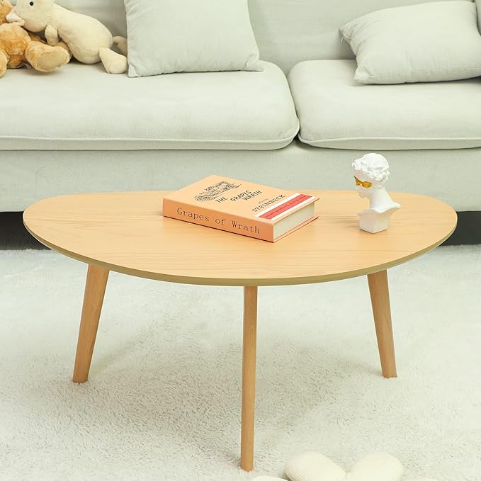 FIRMINANA Small Oval Coffee Table Mid Century Modern - Image 4