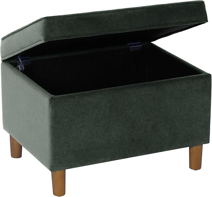 Home Decor | Dinah Collection Modern Storage Ottoman | Ottoman - Image 4