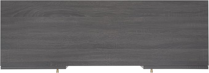 SAFAVIEH Home Collection Ophelia Distressed Black 2-Door 2-Shelf Entertainment - Image 4